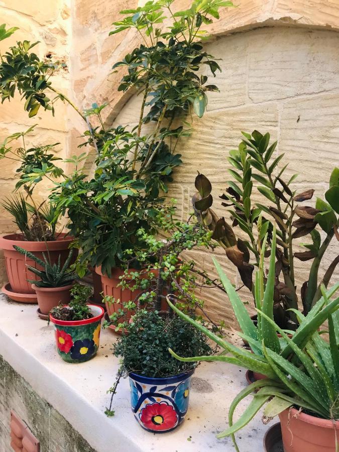 250 Yo Tal-Bambinu Boutique Farmhouse Xagħra Eksteriør billede